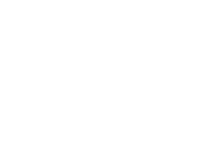 Spotligth Festival