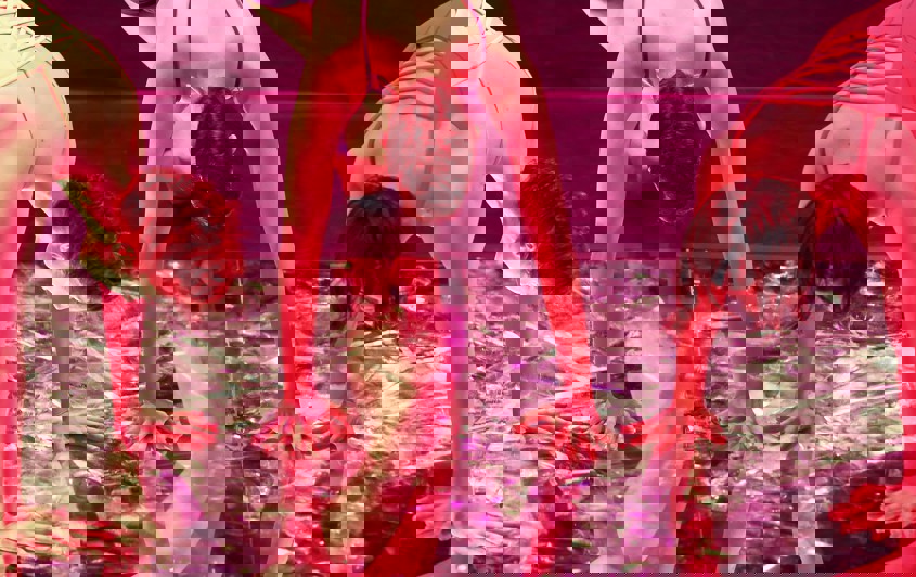 All there is in January